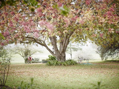 WillOaks B&B - Hobart Tourism 8
