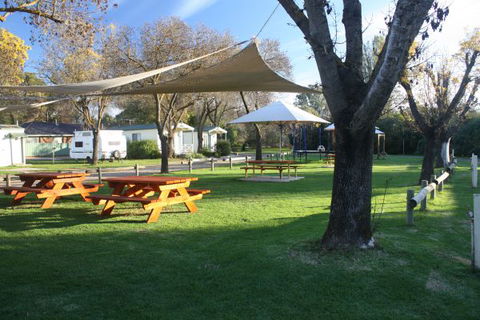 BIG4 North Cedars Holiday Park Wangaratta - Hobart Tourism 3