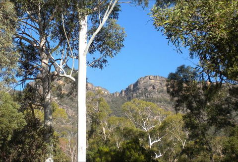 Gang Gang Villas - Hobart Tourism 4