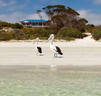 Kangaroo Island Star Beach House - Hobart Tourism