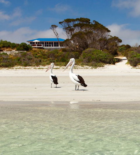 Kangaroo Island Star Beach House - Hobart Tourism 0