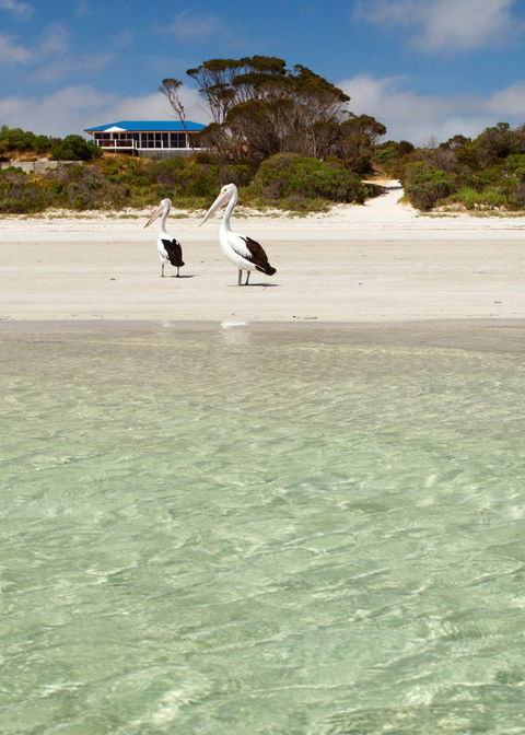 Kangaroo Island Star Beach House - Hobart Tourism 4