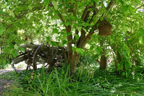 Willowbrook Heritage Bed & Breakfast - Tourism TAS 7