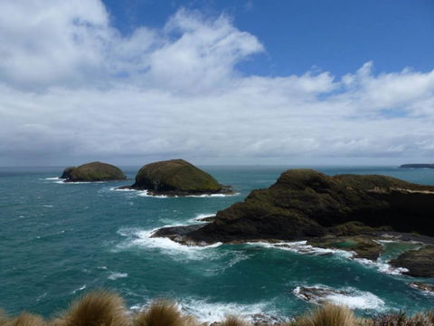 Arties Cottage Accommodation - Tourism TAS 9