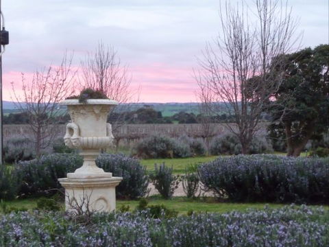 Angas Plains Wines Suites - Tourism TAS 3
