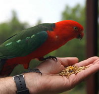 Barrington Tops Escapes - Hobart Tourism