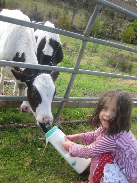 Bodalla Dairy Shed - Tourism TAS 3