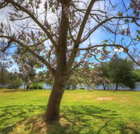 Breakaway Twin Rivers Caravan Park - Hobart Tourism