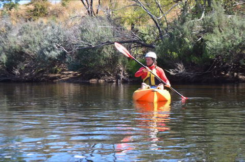 Hawthorn Lodge - Hobart Tourism 8