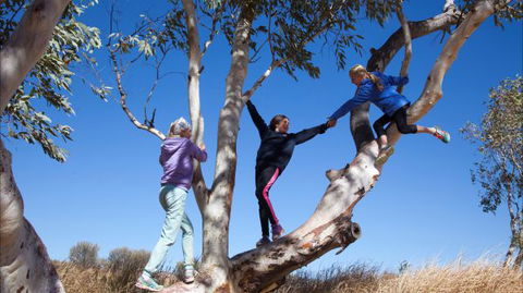 Hamilton Downs Youth Camp - Hobart Tourism 4