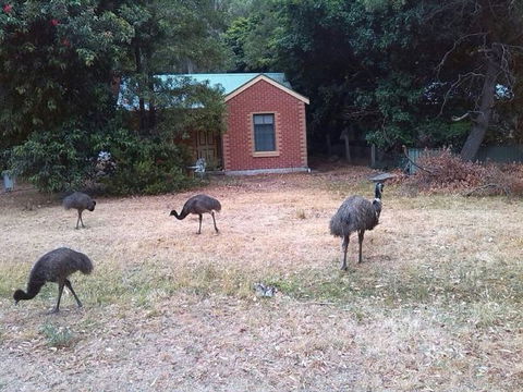 Boronia Peak Villas - Tourism TAS 5
