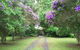 Serendip River Retreat - thumb 2