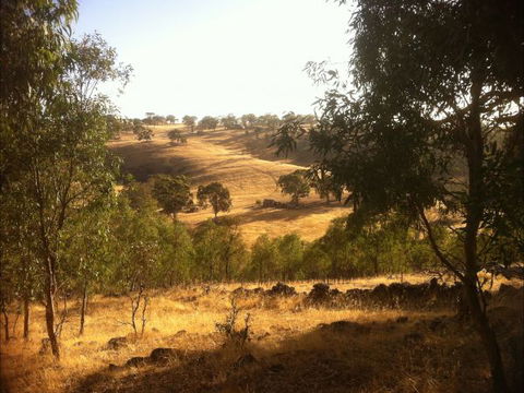 Jonathan Art Centre - Jarramarrumba House - Tourism TAS 6