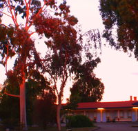 Murray Bridge Central Olympic Motel and Cottages - Hobart Tourism