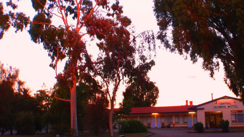 Murray Bridge Central Olympic Motel And Cottages - Hobart Tourism 0