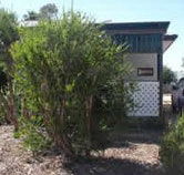 Loxton Smiffy's Bed And Breakfast Coral Street