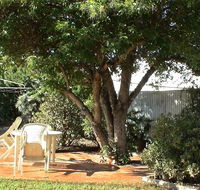 Bev's Retreat Bed and Breakfast - Hobart Tourism