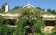 Lemontree Cottage - thumb 0