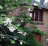 Crafers Cottages - Cherrytree Cottage - Tourism TAS