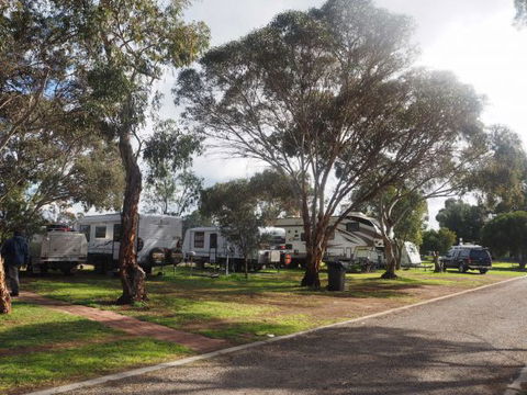 Murray Bridge Marina Camping And Caravan Park - Hobart Tourism 4