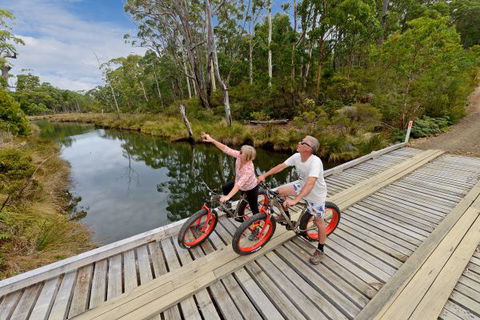 Saintys Creek Cottage - Tourism TAS 6