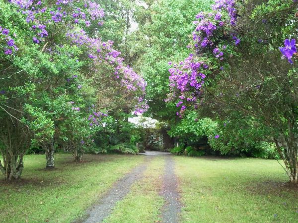 Darkwood NSW Tourism TAS