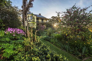 The Corinda Collection