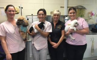 Maraboon Pet Resort - Hobart Tourism 2