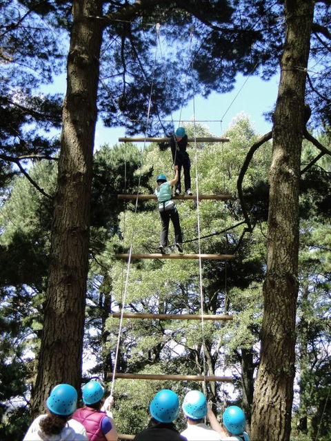 Allambee Camp - Tourism TAS 9
