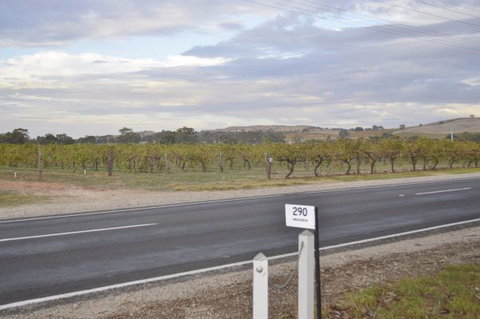 Almond Tree Cottage - Tourism TAS 5