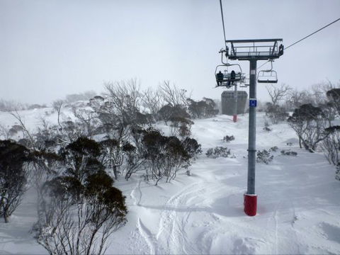 Angala Apartment - Hobart Tourism 8