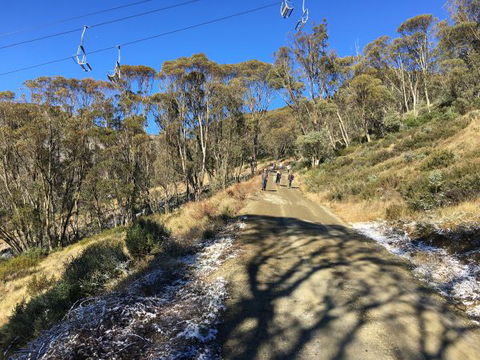 Arrabri Ski Club Hotham - Tourism TAS 1