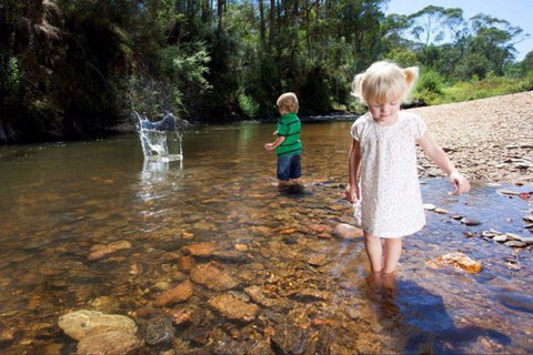 Bright Freeburgh Caravan Park - Tourism TAS 3