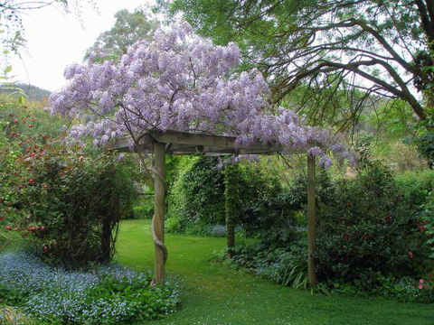 Brookfield Guesthouse - Tourism TAS 8