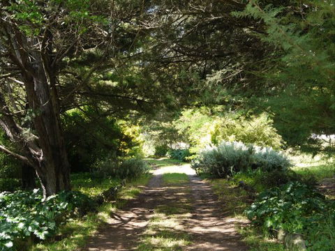 Coodravale Homestead - Hobart Tourism 8