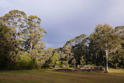 Fernhill Chestnut Farm - Tourism TAS 2