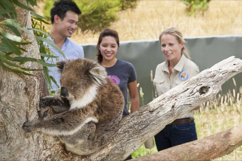 Great Ocean Ecolodge - Tourism TAS 1