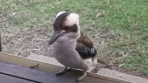 Lake Awoonga Caravan Park - Tourism TAS 5