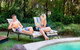 Lillypilly's Cottages And Day Spa - thumb 5