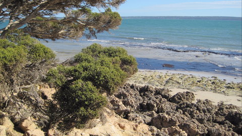 Wallaby Beach House - Tourism TAS 5