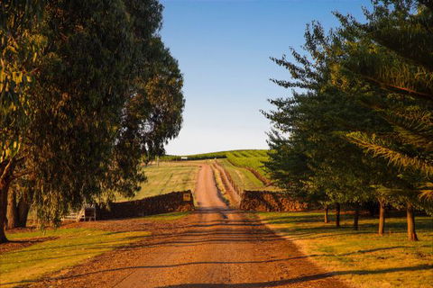 Mt Bellevue Lodge - King Valley - Tourism TAS 3