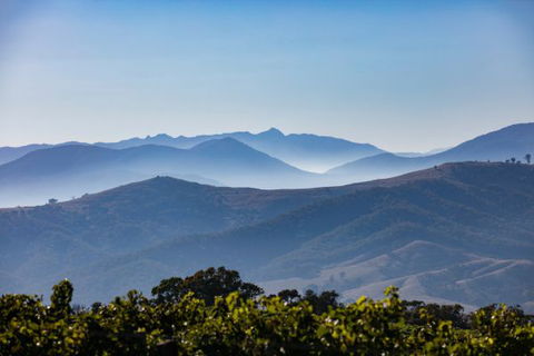 Mt Bellevue Lodge - King Valley - Tourism TAS 4