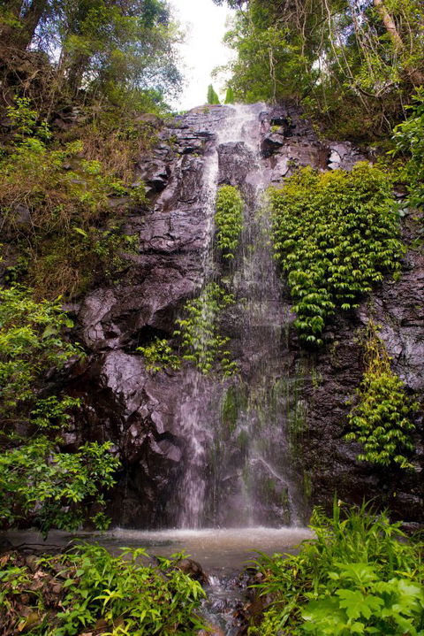 Nimbin Waterfall Retreat - Tourism TAS 0