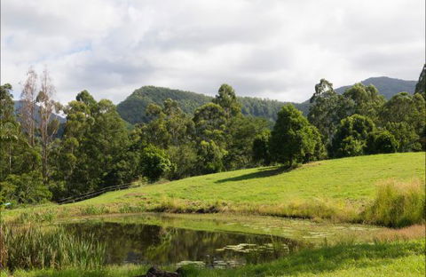 Nimbin Waterfall Retreat - Tourism TAS 3