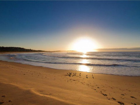 Oaks Apartment At Dee Why Beach - Tourism TAS 0