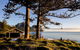 Pinetrees Lodge - thumb 0