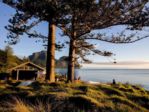 Pinetrees Lodge - Hobart Tourism 0