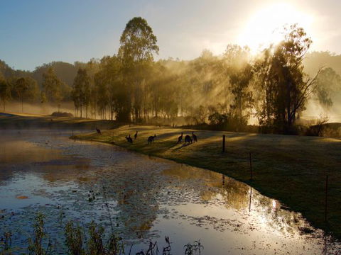 Ramada Resort Kooralbyn Valley - Hobart Tourism 6