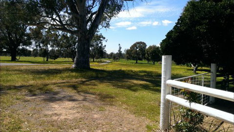 Rotherlea Lodge Farmstay BnB - Tourism TAS 3