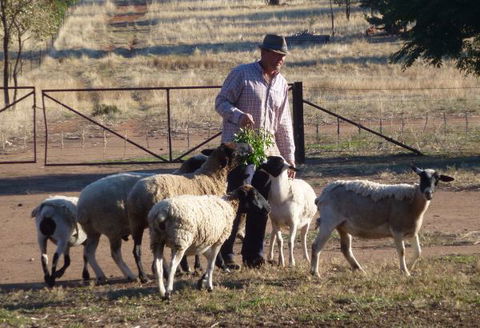 Selby Organic Farm Stay - Tourism TAS 4
